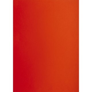 Brystol czerwony B1 Czerwony 225g 1k Creatinio (400150262)