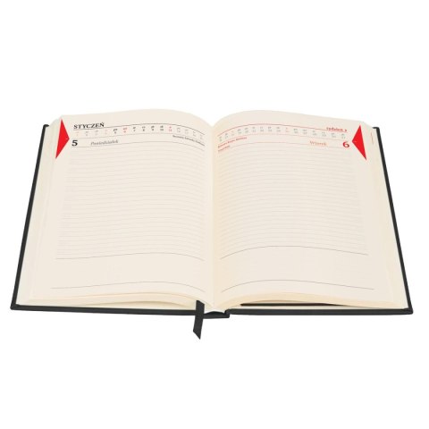 Kalendarz książkowy (terminarz) 2026 COLOROFIX DNS A5 Antra (CZRANY)