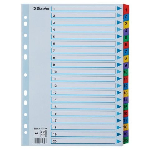 Przekładka numeryczna Mylar kartonowa A4 mix kolorów 160g 20k 1-20 Esselte (100163)