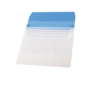 Teczka z przegródkami A4 kolor: mix 5 przegródek Panta Plast (F4429)