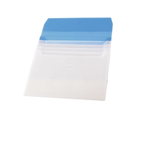 Teczka z przegródkami A4 kolor: mix 5 przegródek Panta Plast (F4429)