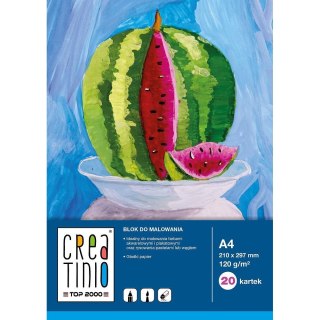 Blok artystyczny Creatinio A4 120gg 20k Top 2000 (400079858)