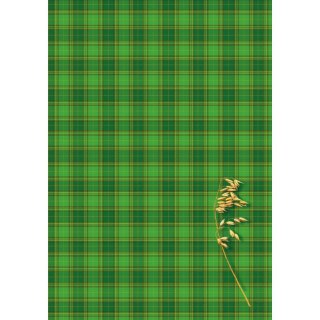 Brulion A4 160k. krata Kreska