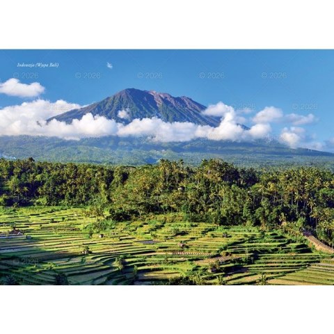 Kalendarz ścienny Piękne krajobrazy rodzinny 2026 280mm x 200mm Lucrum (WL04)