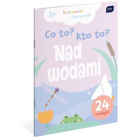 Kolorowanka CO TO ? KTO TO? A4 16 z naklejkami Interdruk (5902277312112)