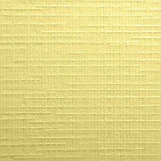 Papier ozdobny (wizytówkowy) krateczka krem A4 kremowy 246g Protos