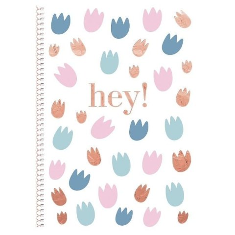 Kołobrulion HEY B5 80k. krata (nd)