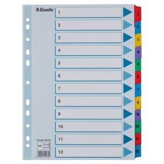 Przekładka numeryczna Mylar kartonowe A4 mix kolorów 160g 12k 1-12 Esselte (100162)