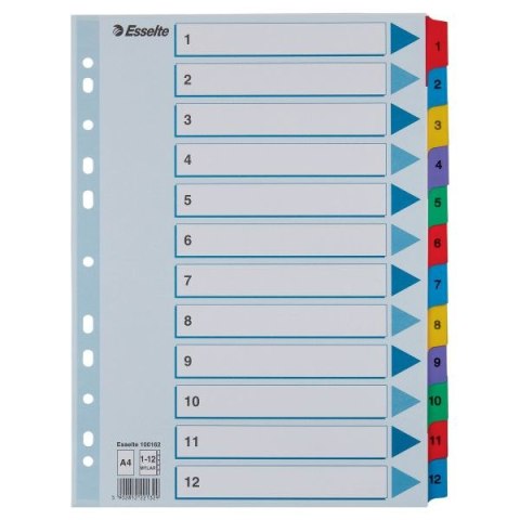 Przekładka numeryczna Mylar kartonowe A4 mix kolorów 160g 12k 1-12 Esselte (100162)