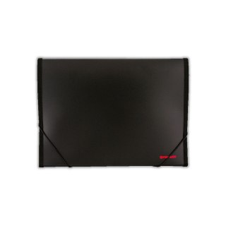 Teczka z przegródkami kolor: mix Penmate (TT6717)