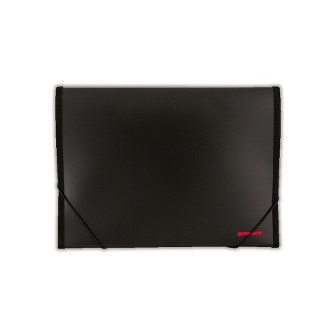 Teczka z przegródkami kolor: mix Penmate (TT6717)