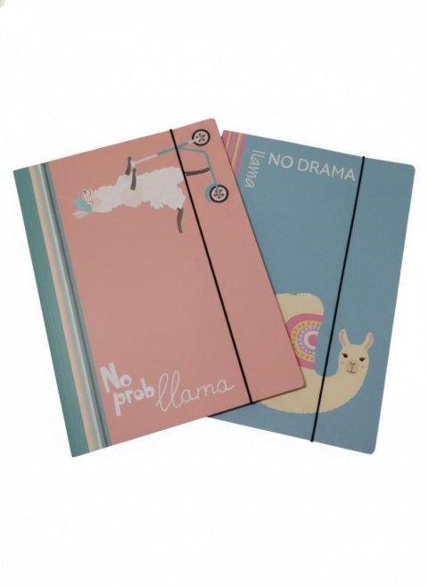 Teczka kartonowa na gumkę 1-NO PROBllama B4 mix VauPe (302/96)