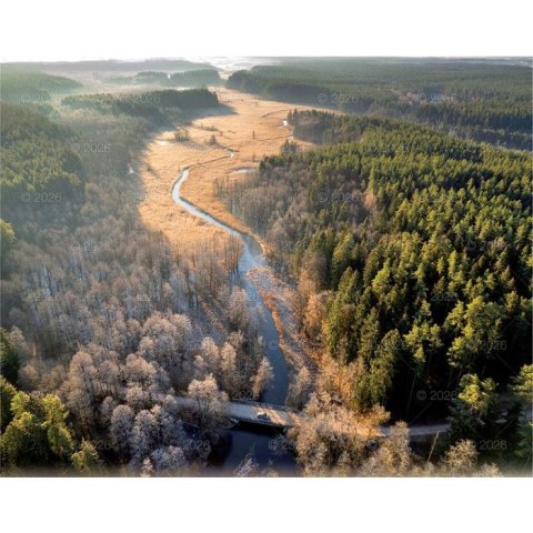 Kalendarz ścienny LASY POLSKIE 13-planszowe 2024 320mm x 470mm Lucrum (RW04)