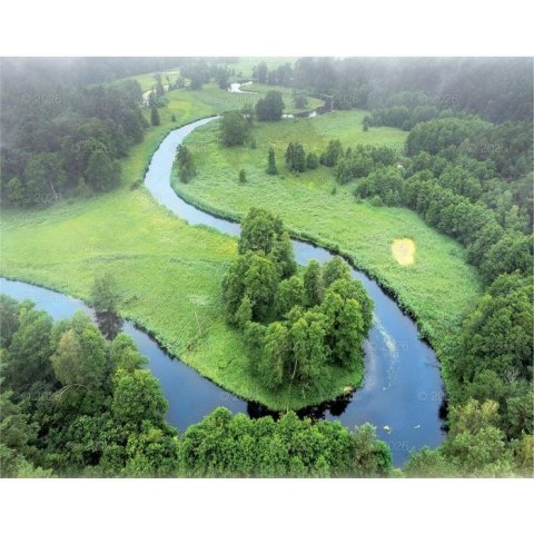 Kalendarz ścienny LASY POLSKIE 13-planszowe 2024 320mm x 470mm Lucrum (RW04)