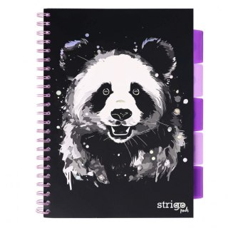 Kołozeszyt (kołonotatnik) ANIMALS panda A4 100k. 80g linia Strigo (PADS093)