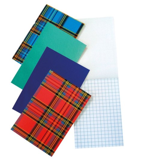 Notes (notatnik) KLEJONY A6 40k. krata [mm:] 100x145 Warta (120-040)