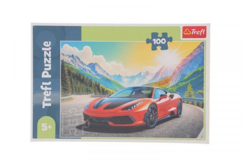 Puzzle Wyścig z czasem 100 el. Trefl (16490)