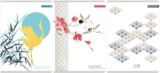 Zeszyt PRIPLAK A4 60k. krata Beniamin