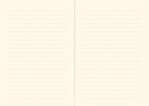 Notes (notatnik) pozłacana gałązka B6 80k. linia