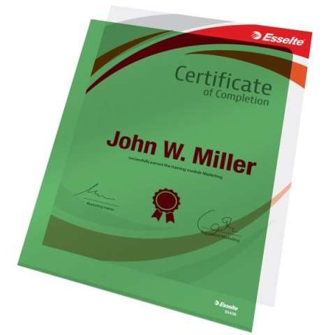 Ofertówka A4 kolor: zielony typu L 150 mic. Esselte (55436)