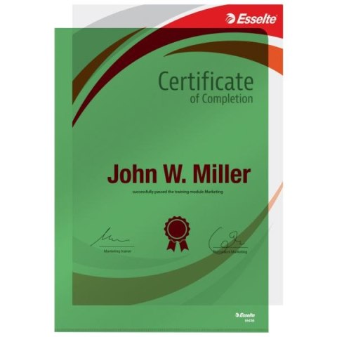 Ofertówka A4 kolor: zielony typu L 150 mic. Esselte (55436)