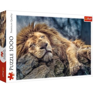 Puzzle Śpiący lew 1000 el. Trefl (10447)