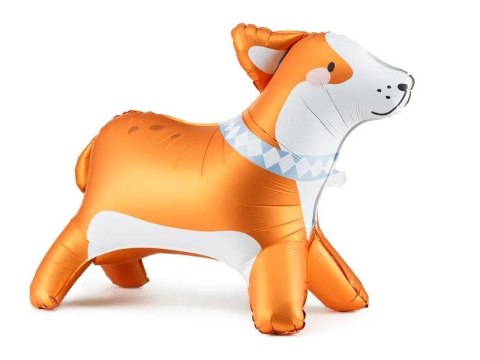 Balon foliowy Stojący Corgi, 88x70 cm, mix Partydeco (FB249)