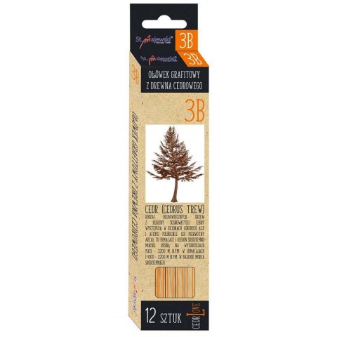 Ołówek cedrowy 3B St.Majewski (3B)