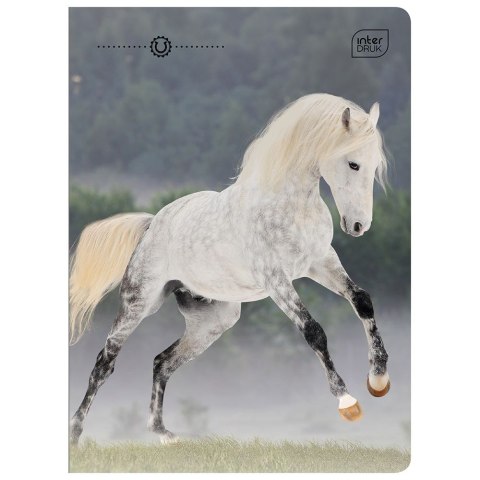 Zeszyt WILD HORSES A5 32k. 70g linia kolor Interdruk