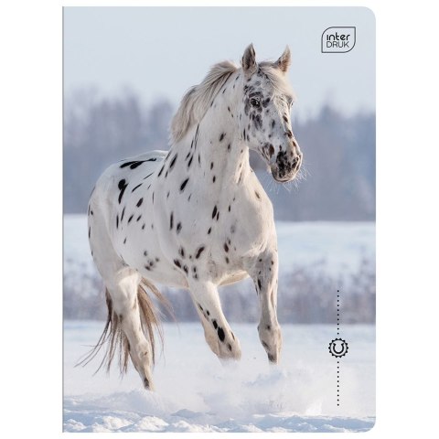 Zeszyt WILD HORSES A5 32k. 70g linia kolor Interdruk