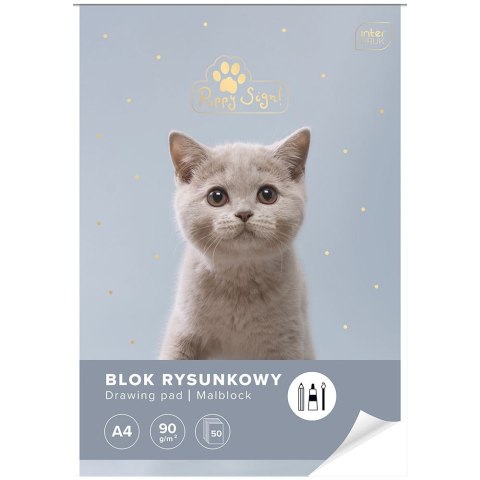 Blok rysunkowy bloki A4 biały 90g 50k Interdruk