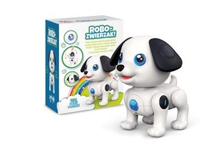 Robot piesek Artyk (170829)