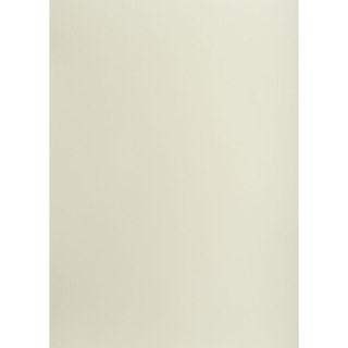 Brystol A3 jasnoszary 160g 25k [mm:] 297x420 TOP-2000 (400150185)