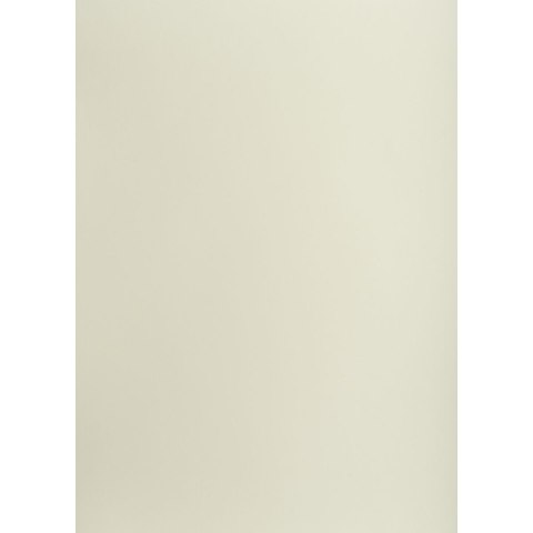 Brystol A3 jasnoszary 160g 25k [mm:] 297x420 TOP-2000 (400150185)