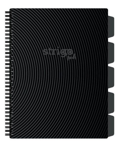 Kołozeszyt (kołonotatnik) BASIC SZARY A4 100k. 80g krata Strigo (PADS055)