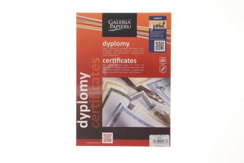 Dyplom vera A4 190g Galeria Papieru (211119)