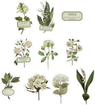 Naklejka (nalepka) Craft-Fun Series samoprzylepne aplikacje foliowe Titanum (24XQ0501-21)