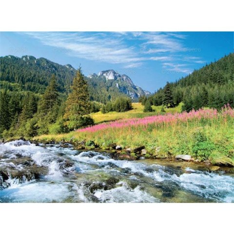 Kalendarz ścienny PEJZAŻE TATRZAŃSKIE 13-planszowe 2024 320mm x 470mm Lucrum (RW05)