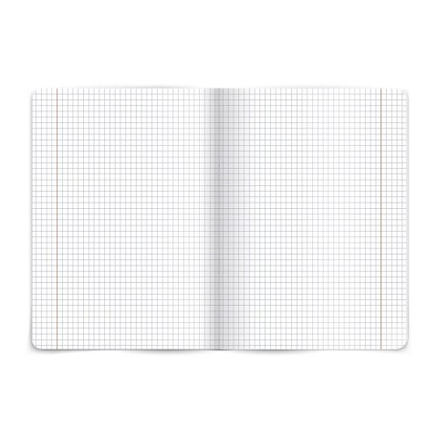 Zeszyt fizyka A5 60k. 80g krata [mm:] 150x210 TOP-2000 (400160589)