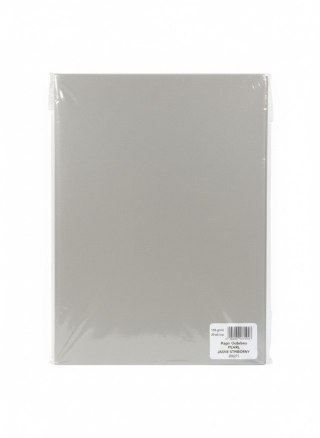 Papier ozdobny (wizytówkowy) pearl jasnosrebrny A4 srebrny 135g Galeria Papieru (206213)