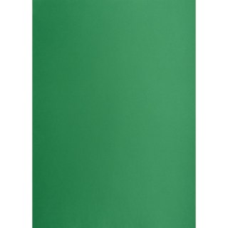 Brystol zielony ciemny B1 zielony ciemny 225g 1k Creatinio (400150269)