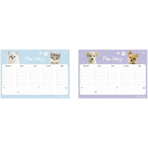 Plan lekcji PUPPY SIGN A4 5902277348531 Interdruk