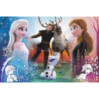 Puzzle Frozen 2 300 el. Trefl (23006)