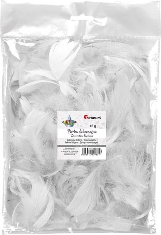 Piórka Craft-Fun Series białe Titanum