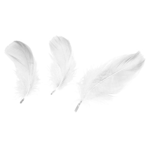 Piórka Craft-Fun Series białe Titanum