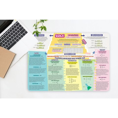 Podkład na biurko SOLE I METODY ICH OTRZYMYWANIA mix PVC PCW Henry (5905701481514)