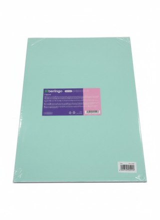 Teczka ofertowa A4 kolor: mix 20 kieszeni Berlingo (352608)