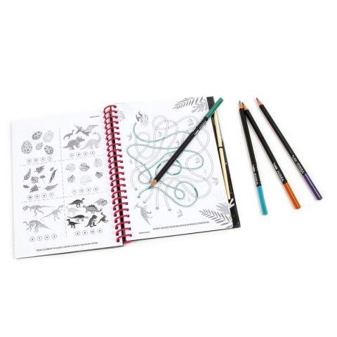 Książka dla dzieci DINOZAUR 17 Derform (NKWDN17)