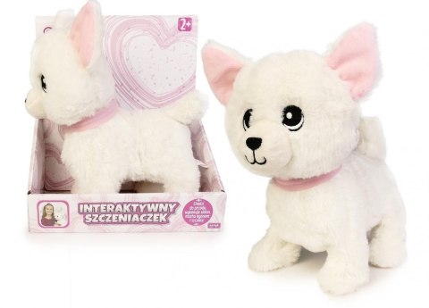 Pluszak interaktywny Piesek chodzący na smyczy mix Artyk (185540)