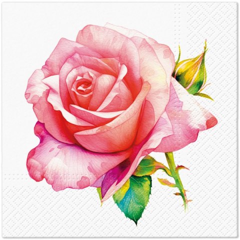 Serwetki Lunch Unique Rose mix nadruk papier Paw (SDL148100)